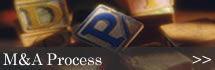 M&A Process