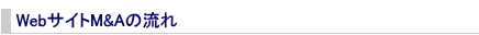 WebTCgM&A̗